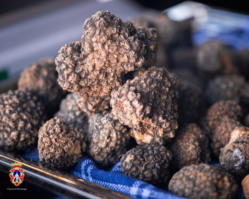 MostraMercato Pietralunga 2023_foto Comune di Pietralunga