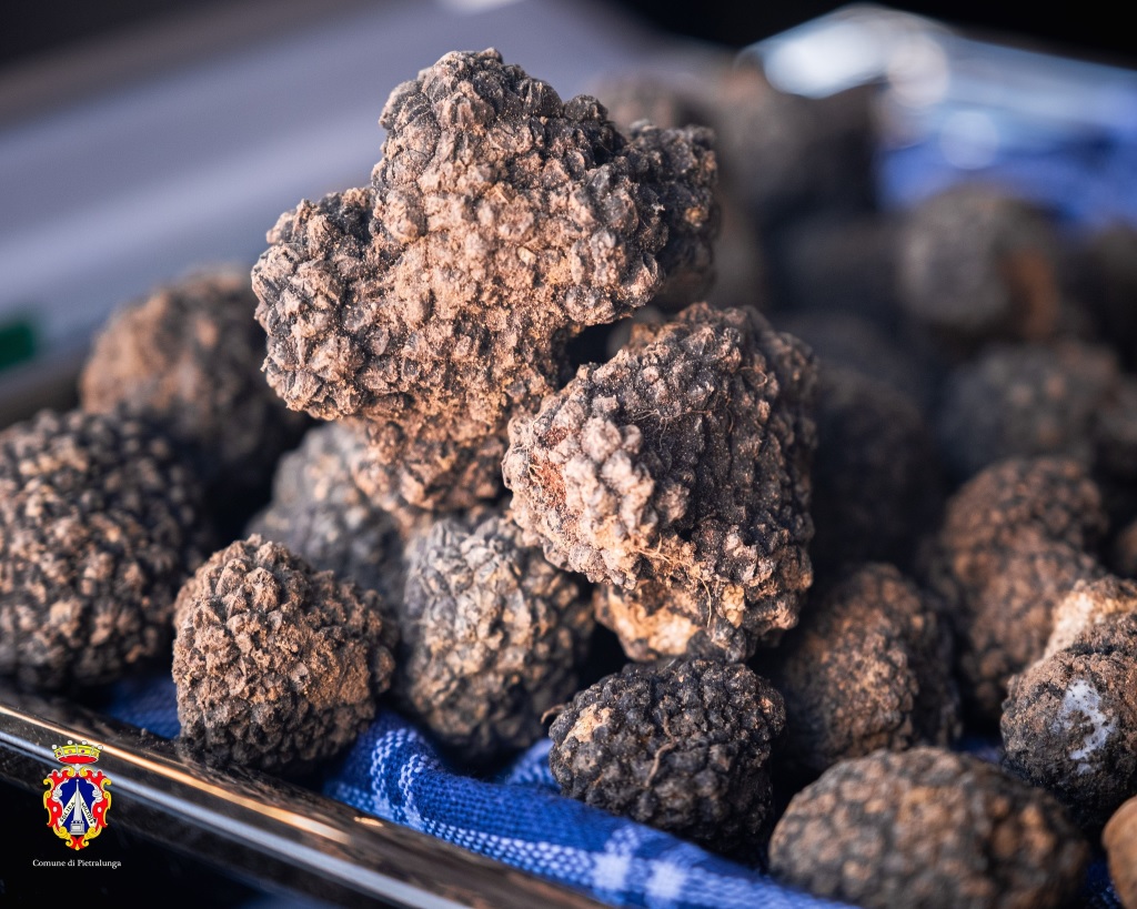 MostraMercato Pietralunga 2023_foto Comune di Pietralunga