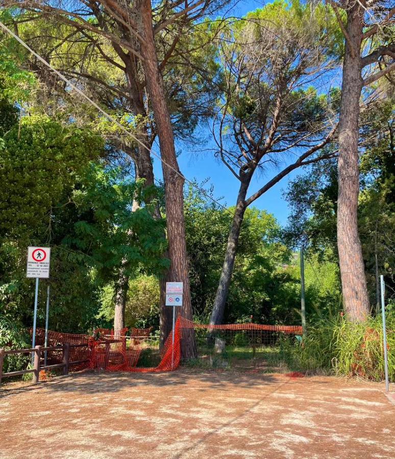 Pineta Ponte Felcino chiusa_foto Alvaro Lanfaloni