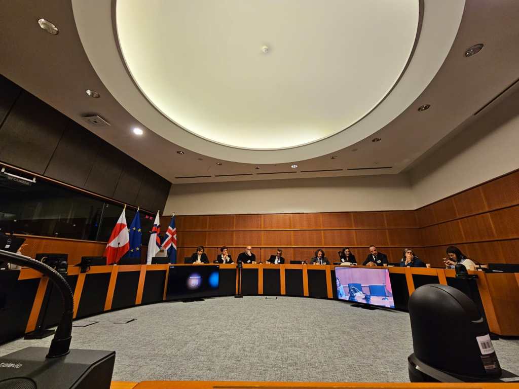 commissione disabilità Bruxelles_foto Umbria7