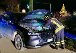 monteluiano auto contro palo