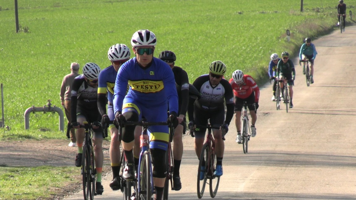 Medio Fondo del Quasar repertorio