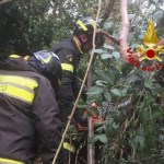 perugia vigili del fuoco piante