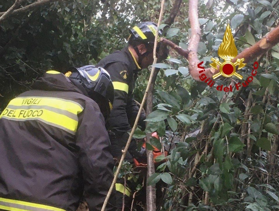 perugia vigili del fuoco piante