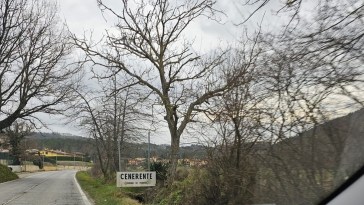 cenerente cartello caduto