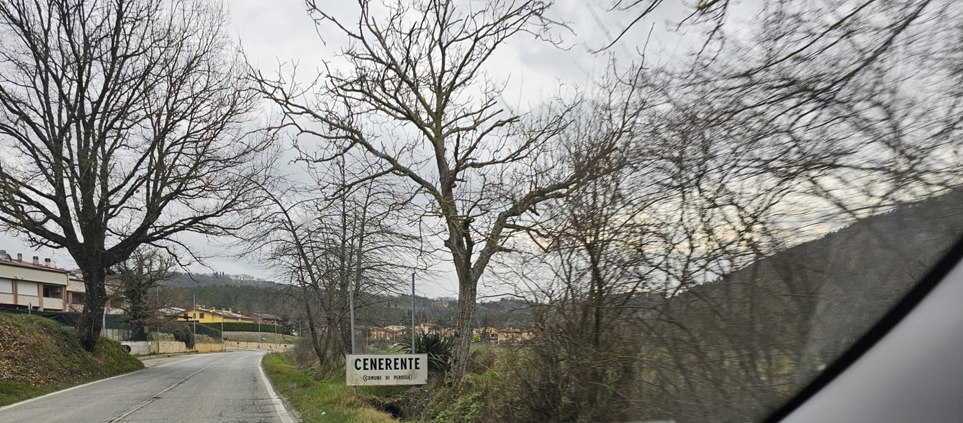 cenerente cartello caduto