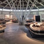 MuseoPaleoPietrafitta