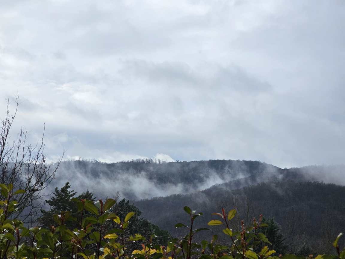 nebbia maltempo_foto Umbria7