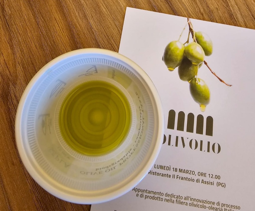 olivolio 2024