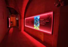 Museo del Sagrantino Montefalco
