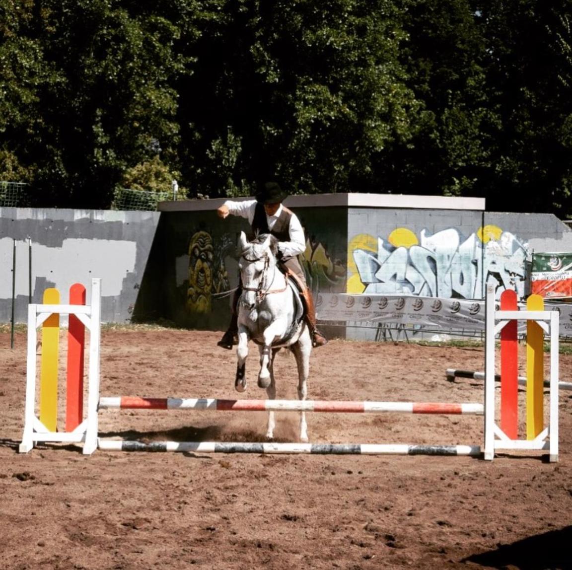 Mostra del Cavallo 2023