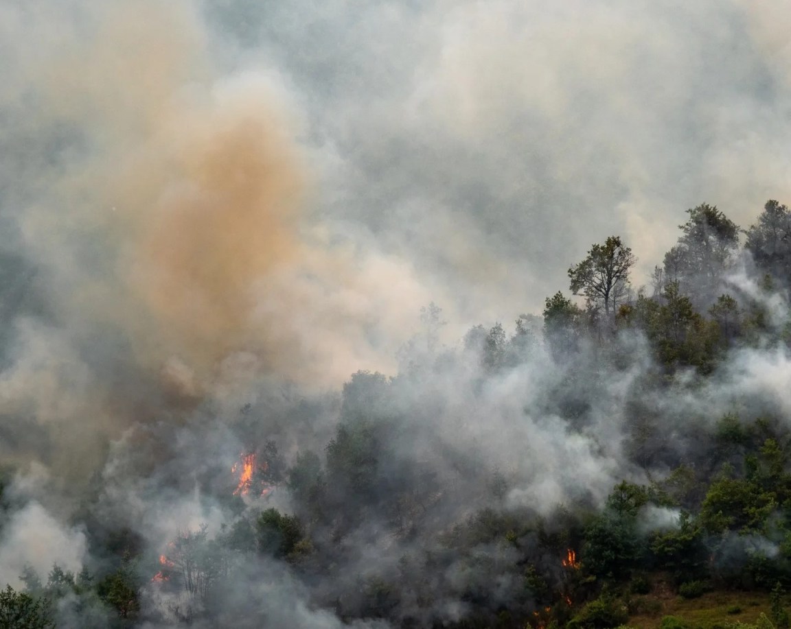 L'incendio a Burano (foto da Facebook/Santa Maria di Burano e Serra di Burano)