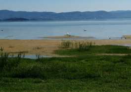 lago Trasimeno secca