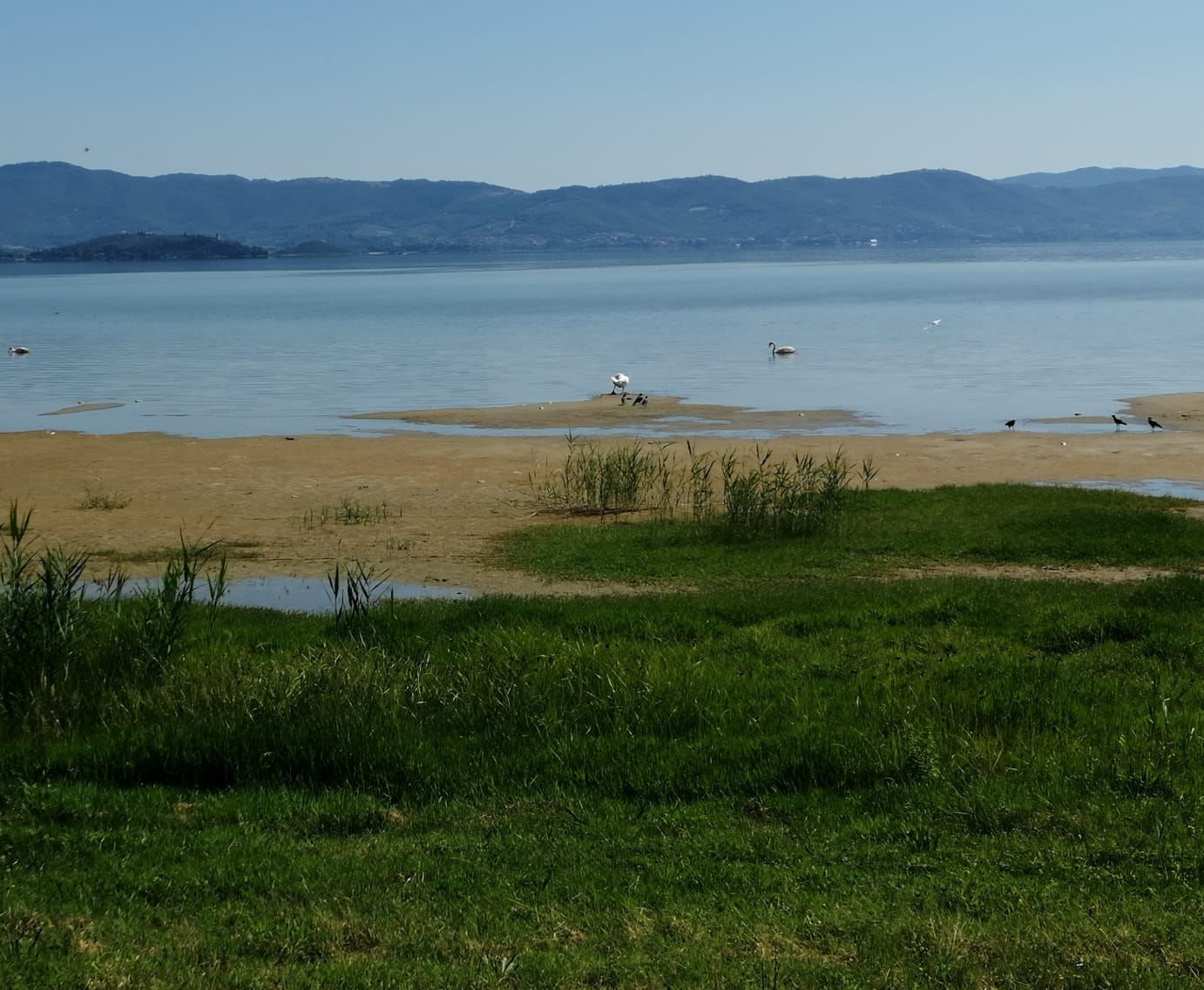 lago Trasimeno secca