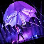 Les Farfadais_Éveil