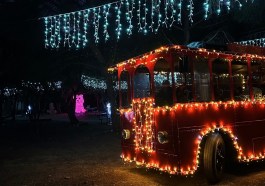 tramvai Città della Domenica natale