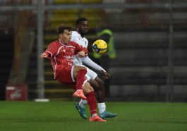 Perugia Carpi Di Maggio 7oz.-RIPRODUZIONE VIETATA