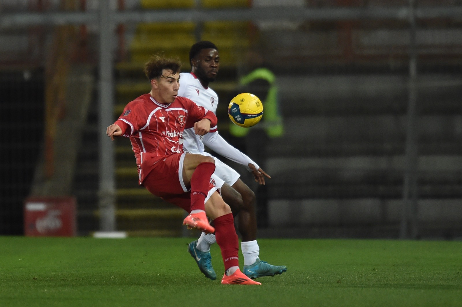 Perugia Carpi Di Maggio 7oz.-RIPRODUZIONE VIETATA