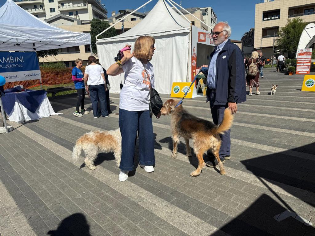Un evento all'aperto con persone e cani, dove una donna interagisce con un cane mentre un uomo con un altro cane si trova accanto a lei. Sullo sfondo si vedono gazebo e stand.