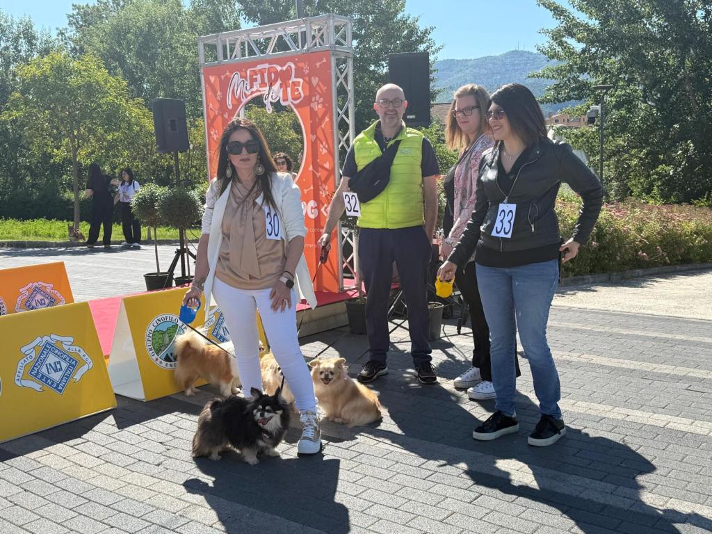 Un gruppo di persone partecipa a una sfilata di cani, con cani di piccola taglia in esposizione.