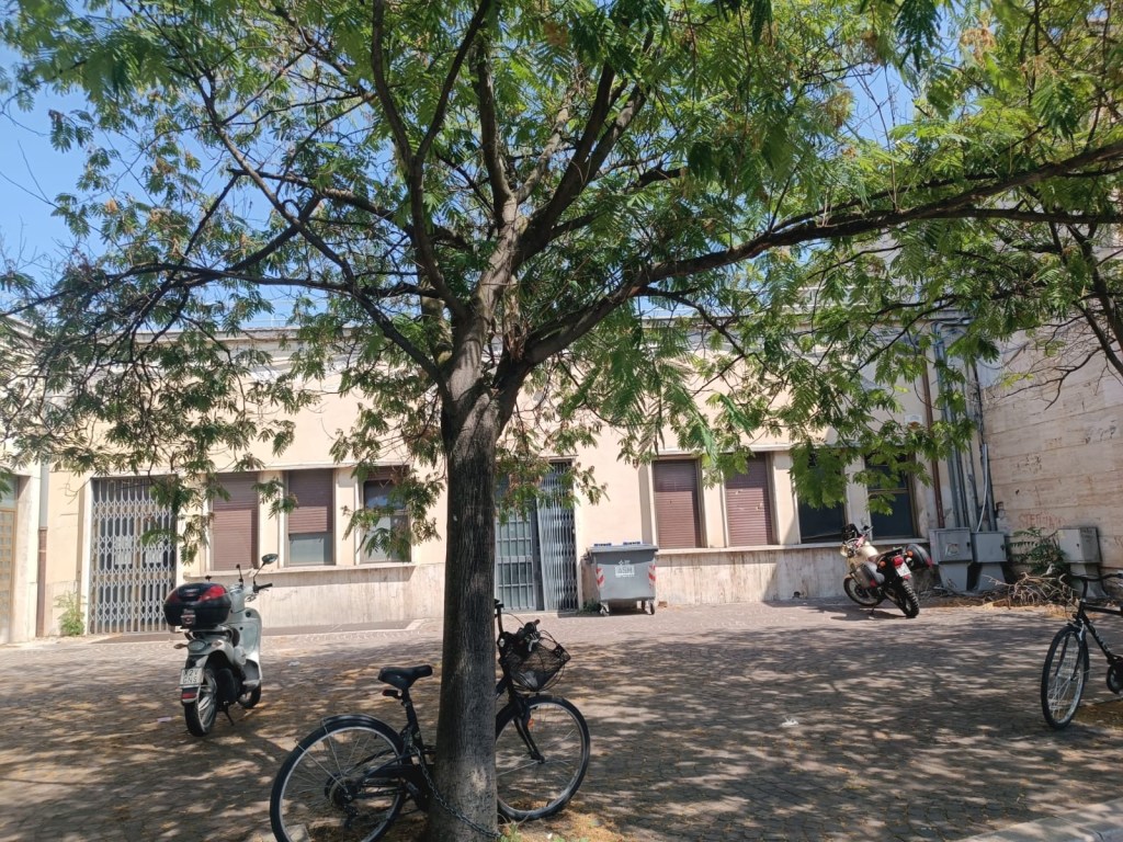 A sunny courtyard with a tree providing shade, two parked bicycles, and a few scooters in an urban setting.