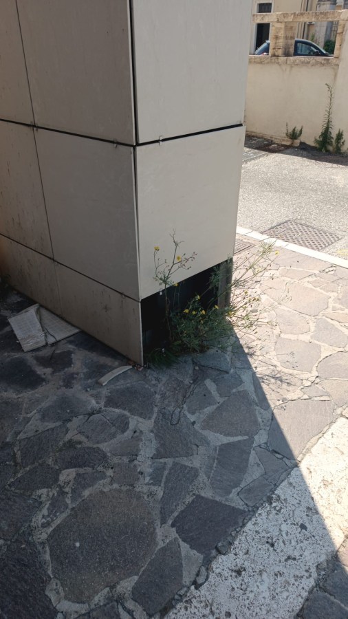 A corner of a building with dirty beige panels and a small patch of weeds growing at the base, alongside a stone pavement.