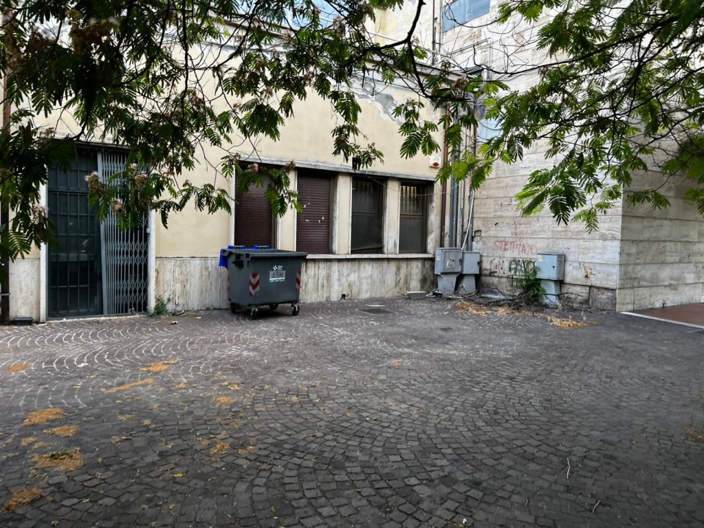 A view of a cobbled alleyway with a large green dumpster and nearby utility boxes, surrounded by walls of a building and overhanging tree branches.