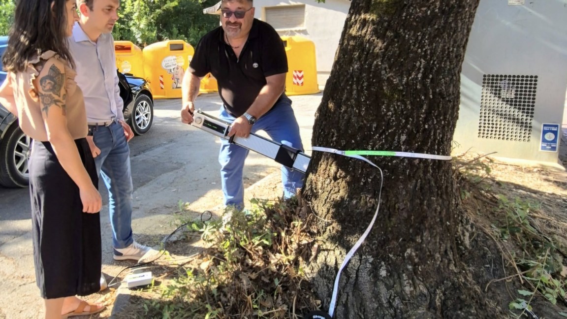 Alberi Corciano_monitoraggio