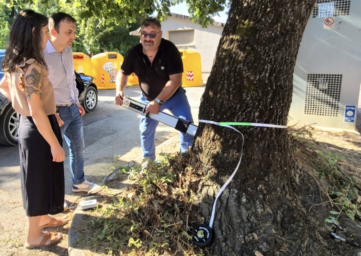 Alberi Corciano_monitoraggio