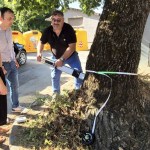 Alberi Corciano_monitoraggio