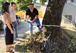 Alberi Corciano_monitoraggio