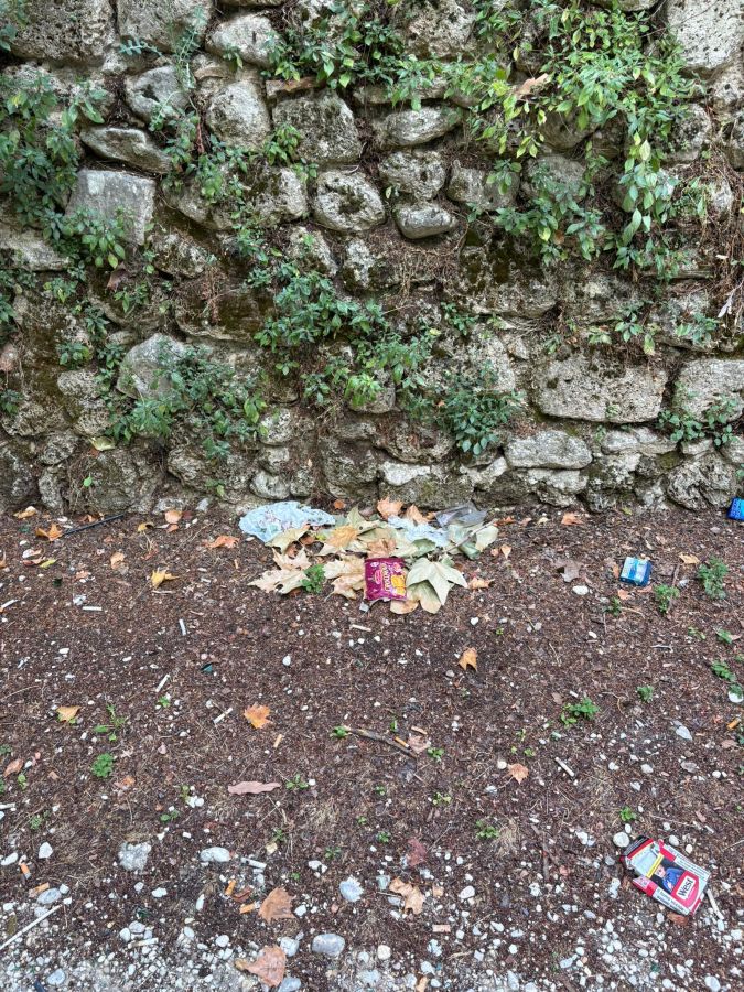 A stone wall covered with vines in the background and a ground littered with fallen leaves and pieces of trash.