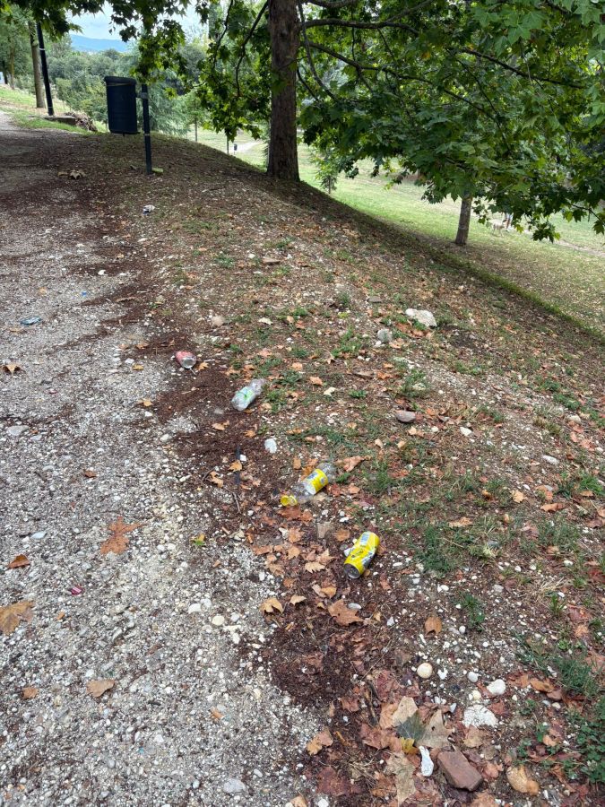 A path covered with fallen leaves and litter, featuring bottles and trash scattered along the side, with a tree and grassy area in the background.