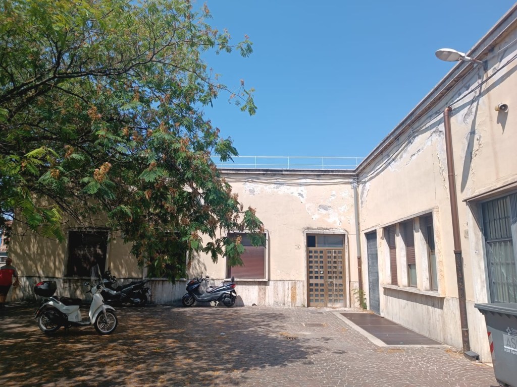 A courtyard with vintage buildings featuring peeling paint, several parked scooters, and a large tree providing shade under a clear blue sky.