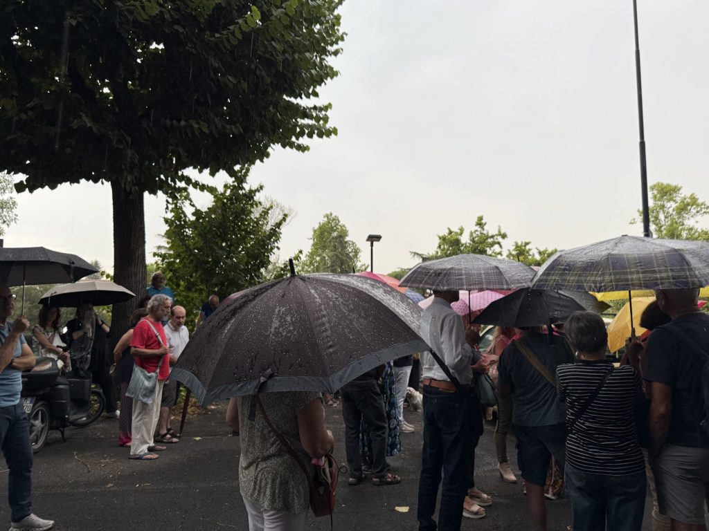 Un gruppo di manifestanti sotto la pioggia, con ombrelli aperti, si riunisce per protestare contro il taglio di alberi a Terni.
