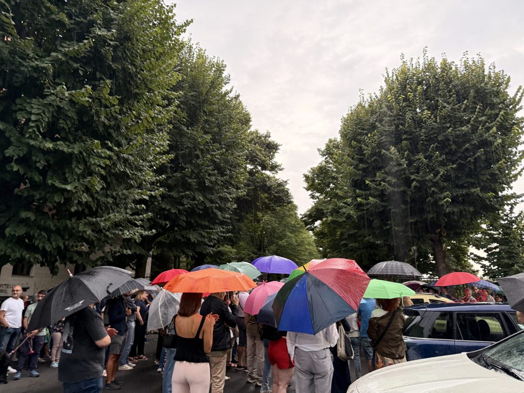 Un gruppo di persone con ombrelli colorati si riunisce in protesta sotto alberi in una strada, esprimendo preoccupazione per il taglio di alberi.