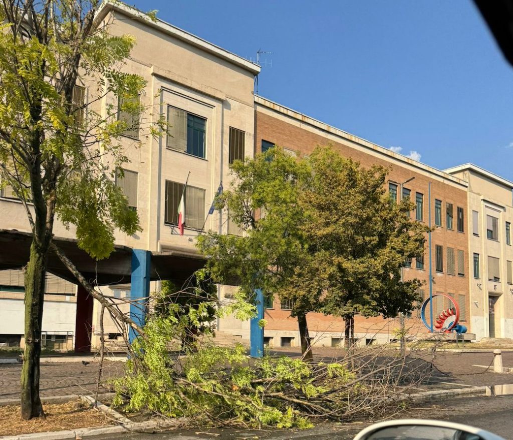 Un edificio con alberi e rami caduti, visibile una bandiera e una scultura colorata nel giardino antistante.