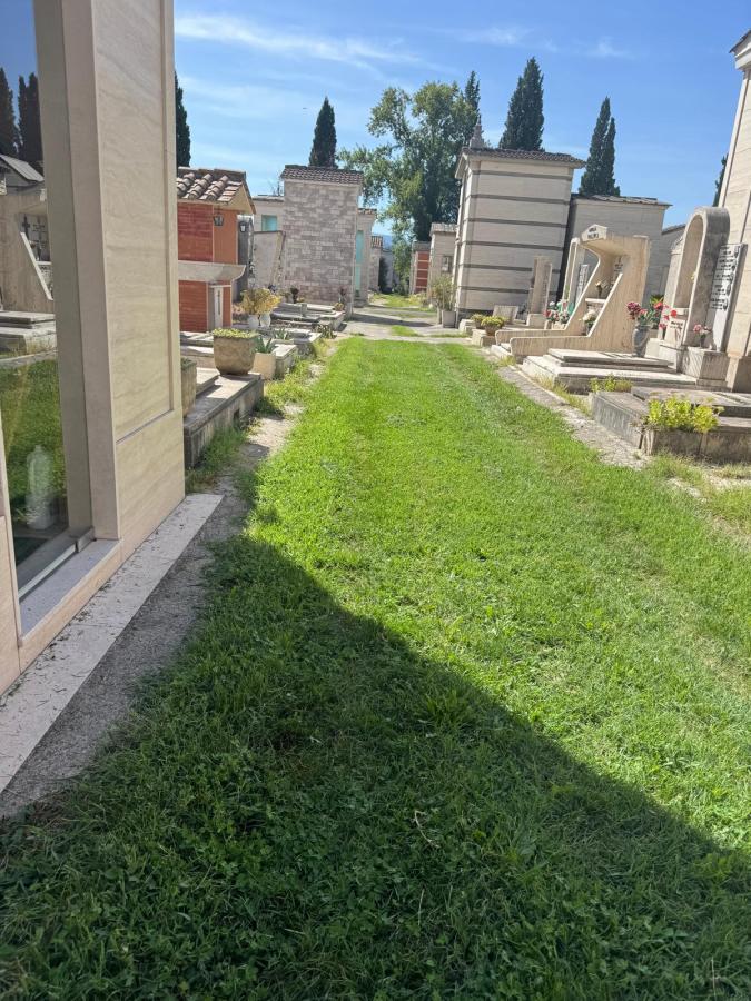 A pathway through a cemetery, lined with tombstones and greenery on both sides under a clear blue sky.