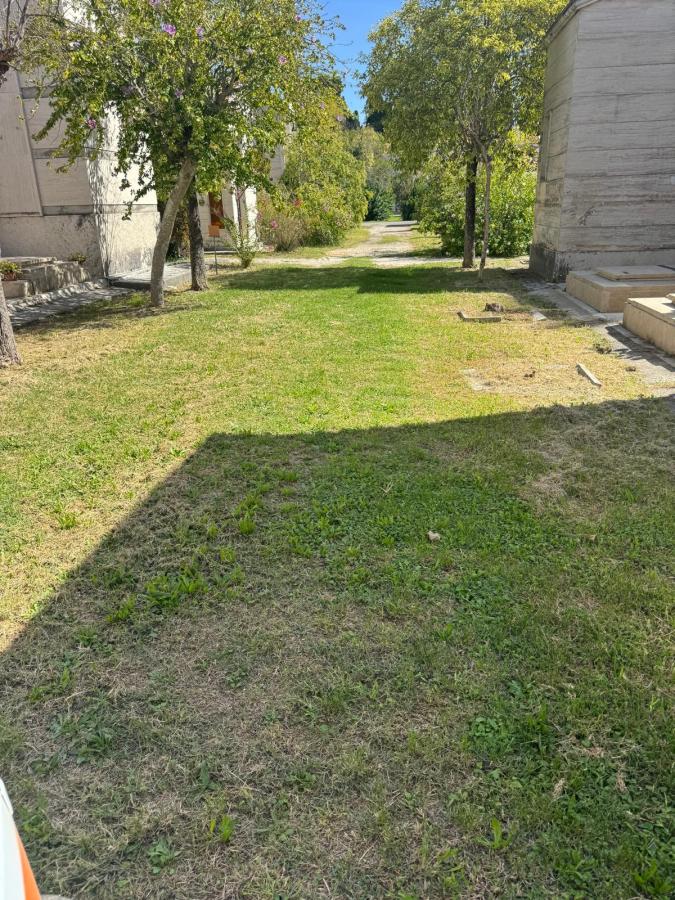 A grassy pathway surrounded by trees, leading to a distant area with buildings on either side and sunlight casting shadows.