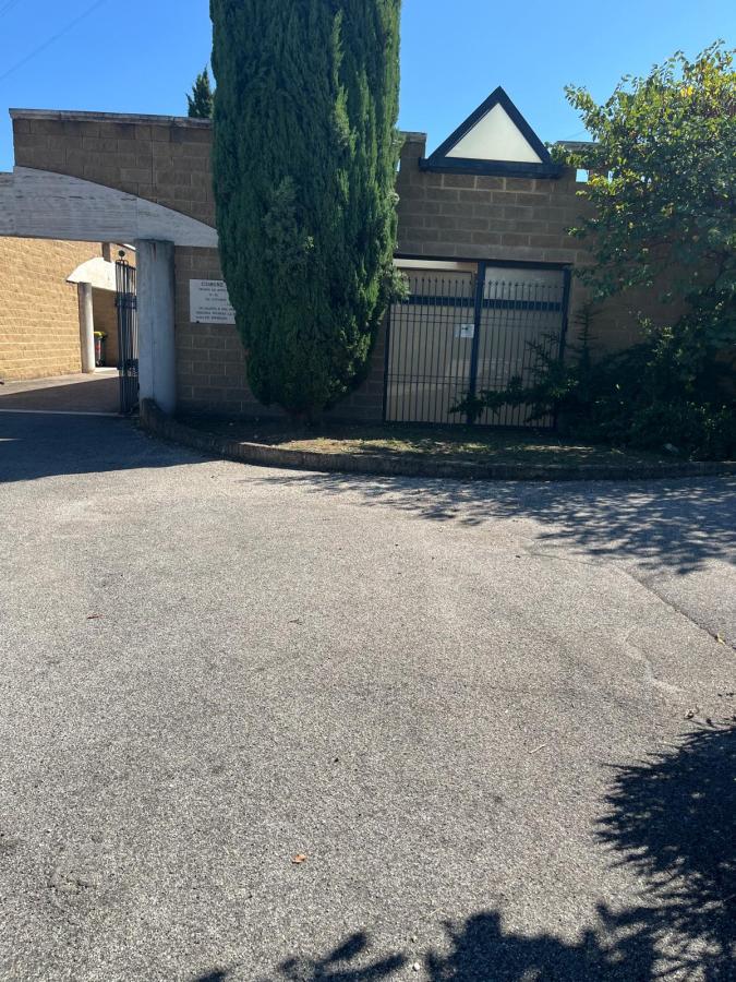 View of a gated entrance with a tall conifer tree and a gray stone wall under a clear blue sky.
