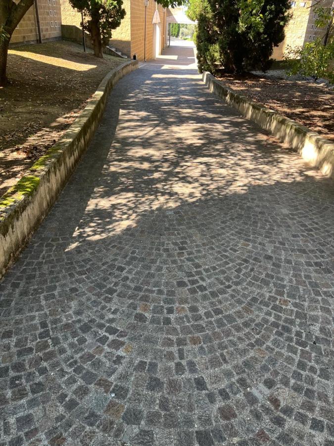 A cobblestone path leading through a park, bordered by trees and a building on the left side.