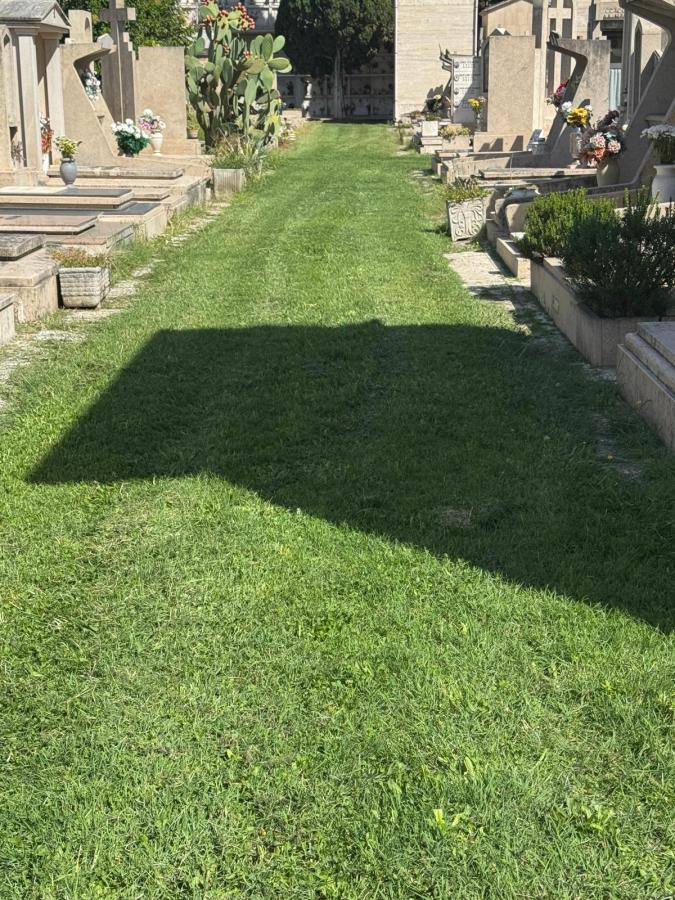 A pathway lined with gravestones in a cemetery, featuring green grass and some decorative plants.