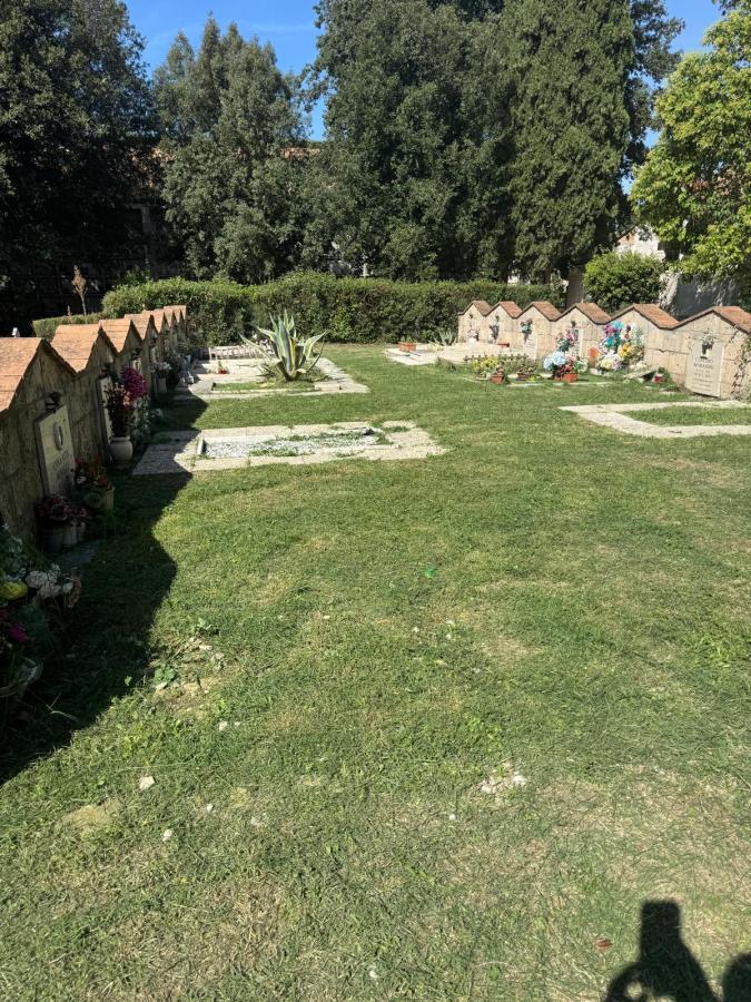 A serene cemetery scene featuring neatly arranged gravestones and memorials, surrounded by green grass and trees on a sunny day.