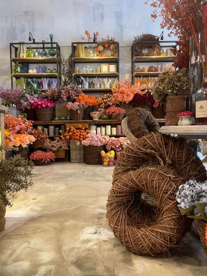 Un negozio di fiori e decorazioni con scaffali riempiti di piante, fiori secchi e vasi colorati, e un ambiente caldo e accogliente.