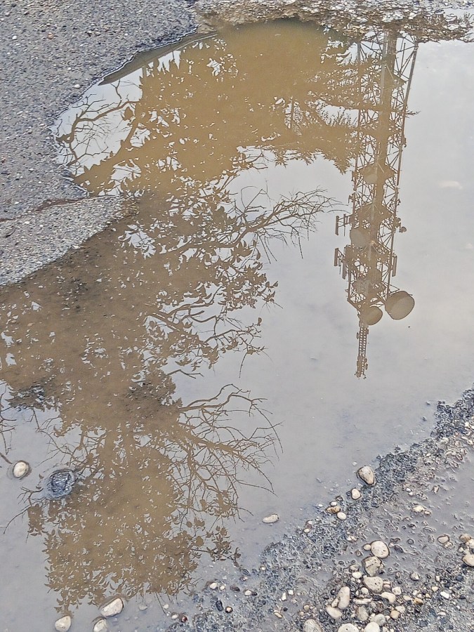 A close-up view of a puddle reflecting a tower and tree branches.