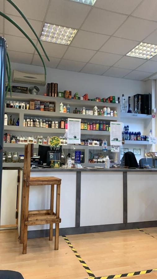 Interno di un negozio di prodotti a base di canapa industriale, con scaffali pieni di vari articoli e un bancone di vendita in primo piano. In evidenza una sedia di legno accanto al bancone.