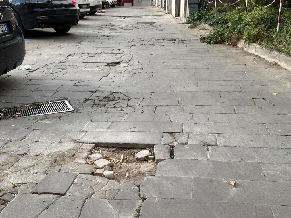 A cracked and uneven pavement with several potholes, surrounded by parked cars and lush greenery on one side.