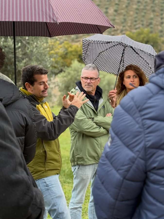 Un gruppo di persone sotto gli ombrelli ascolta un relatore che spiega dettagli sull'olivicoltura, in un ambiente verdeggiante.