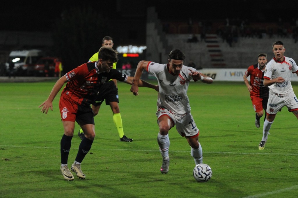 Torres-Perugia Bacchin 7oz.-RIPRODUZIONE VIETATA