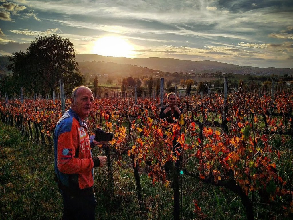 Due persone lavorano in un vigneto al tramonto, circondati da vigne con foglie autunnali colorate.